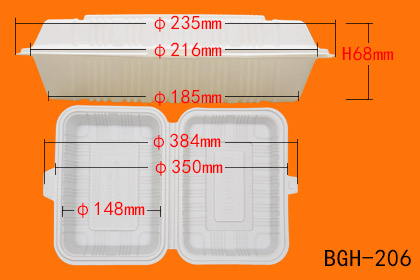BGH-206.jpg